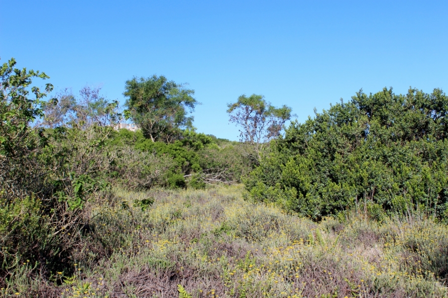 0 Bedroom Property for Sale in Forest Downs Eastern Cape